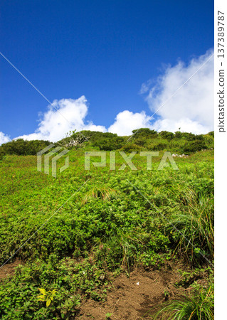 伊吹山 伊吹山 137389787
