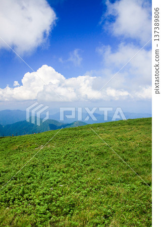 伊吹山 137389806