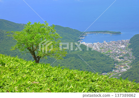伊豆半島伊豆山嶺步道上的達摩山、笹原的一本木以及戶田漁港 伊豆半島伊豆山嶺步道上的達摩山、笹原的一本木以及戶田漁港 137389862