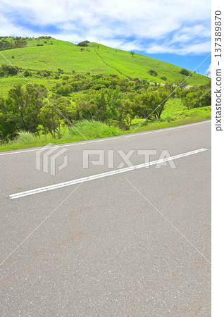 伊豆半島伊豆山脊步道:一條沿著公路通往達摩山的步道。 伊豆半島伊豆山脊步道:一條沿著公路通往達摩山的步道。 137389870