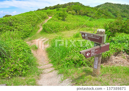 Izuyama Ridge Trail on the Izu Peninsula: Hiking trail at the southern entrance to Mt. Kodaruma 137389871