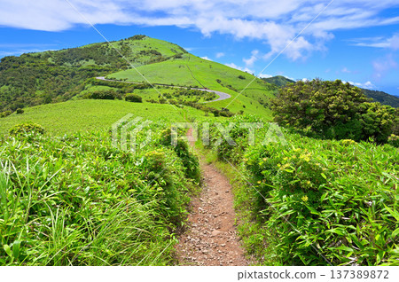Izu Peninsula's Izuyama Ridge Trail: View of Mt. Daruma in summer from the hiking trail of Mt. Kodaruma 137389872