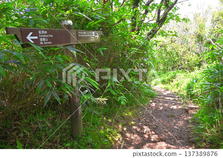 伊豆半島伊豆山脊步道：夏季的兒達摩山頂峰 137389876