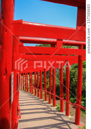 元乃隅神社 元乃隅神社 137389883