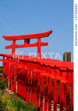 Motonosumi Shrine Motonosumi Shrine 137389887