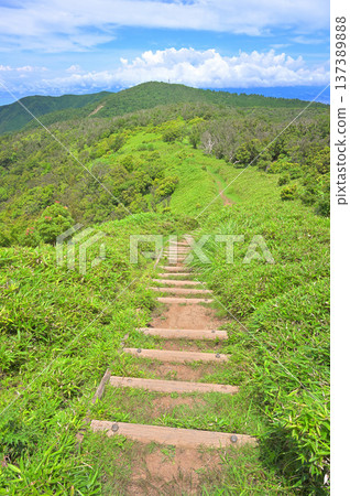 Mount Kinkan seen from the hiking trail of Mount Kodaruma on the Izu Peninsula's Izuyama Ridge Trail Mount Kinkan seen from the hiking trail of Mount Kodaruma on the Izu Peninsula's Izuyama Ridge Trail 137389888