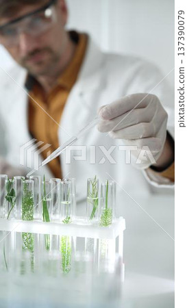 Man scientist wearing a lab coat, white gloves and protective glasses, is dripping liquid from a pipette into a test tube with a green plant inside, vertical portrait. Science and medicine concepts 137390079