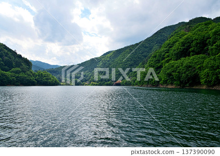 奧多摩湖：從麥山浮橋上看到的峰谷橋（夏季、六月） 137390090