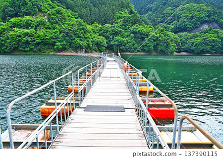 奧多摩湖、麥山浮橋（夏季、六月） 137390115