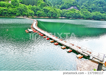 奧多摩湖、麥山浮橋(夏季、六月) 奧多摩湖、麥山浮橋(夏季、六月) 137390117
