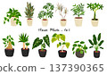Set of 12 houseplants, watercolor style hand-drawn illustrations 137390365