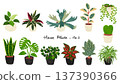 Set 2 of 12 houseplants - watercolor-style hand-drawn illustrations 137390366
