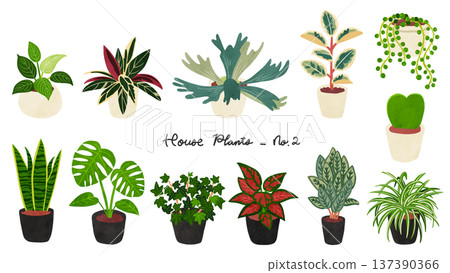 Set 2 of 12 houseplants - watercolor-style hand-drawn illustrations Set 2 of 12 houseplants - watercolor-style hand-drawn illustrations 137390366