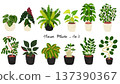 Set 3 of 12 houseplants - watercolor-style hand-drawn illustrations 137390367