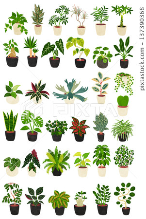 一組36株室內植物,水彩風格手繪插圖 一組36株室內植物,水彩風格手繪插圖 137390368