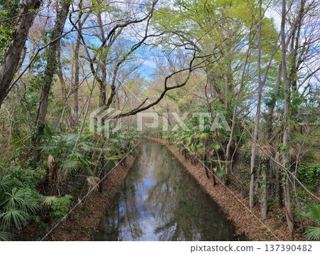 福生市上城水橋 福生市上城水橋 137390482