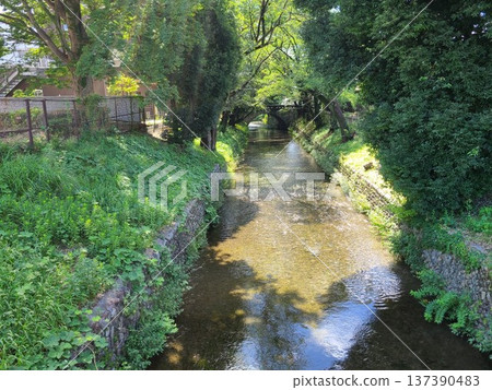 日光橋,昭島市 日光橋,昭島市 137390483