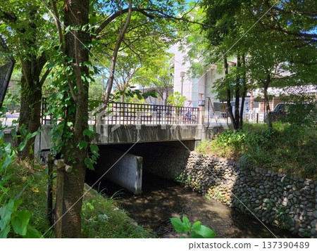 Tamagawa Josui Station, Tachikawa City 137390489