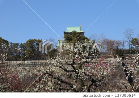 The arrival of spring and the fragrance of plum blossoms at Osaka Castle The arrival of spring and the fragrance of plum blossoms at Osaka Castle 137390614