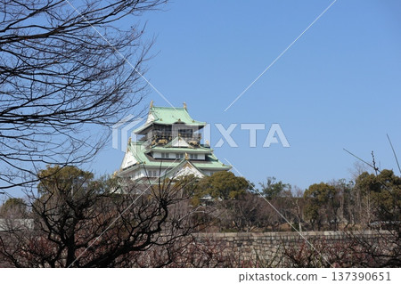 The arrival of spring and the fragrance of plum blossoms at Osaka Castle 137390651