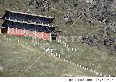 大阪城春意盎然，梅花芬芳。 137390697