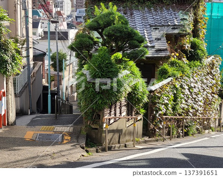 Fujimizaka and Hinasaka in Mejiro Fujimizaka and Hinasaka in Mejiro 137391651