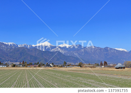 Azumino in early spring: countryside and the Northern Alps 137391735