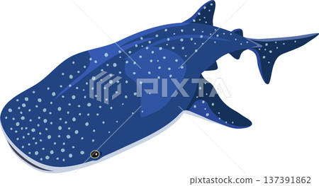 鯨鯊 137391862