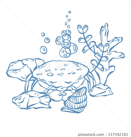 Vector illustration with a marine theme. Underwater world, seaside vacation in blue. Cute crab in doodle. Vector illustration with a marine theme. Underwater world, seaside vacation in blue. Cute crab in doodle. 137392183