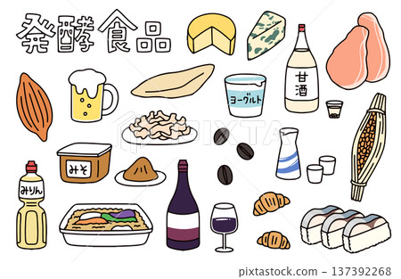 Illustration set of various fermented foods such as beer and miso Illustration set of various fermented foods such as beer and miso 137392268
