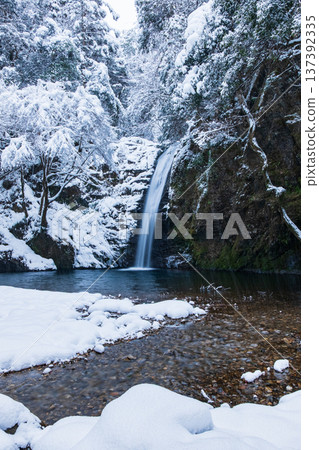 Yokoya Gorge (winter): Shirataki waterfall Yokoya Gorge (winter): Shirataki waterfall 137392335