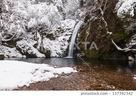 Yokoya Gorge (winter): Shirataki waterfall Yokoya Gorge (winter): Shirataki waterfall 137392342
