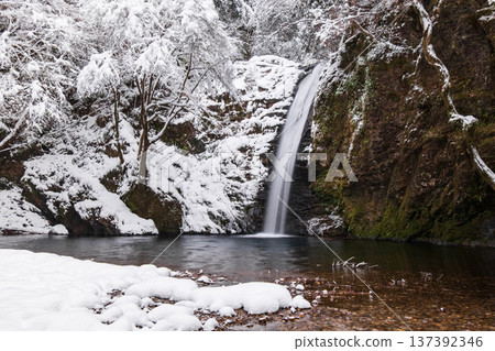 Yokoya Gorge (winter): Shirataki waterfall Yokoya Gorge (winter): Shirataki waterfall 137392346