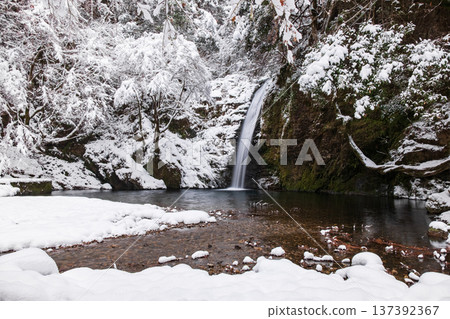 Yokoya Gorge (winter): Shirataki waterfall 137392367