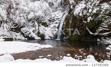 Yokoya Gorge (winter): Shirataki waterfall Yokoya Gorge (winter): Shirataki waterfall 137392369