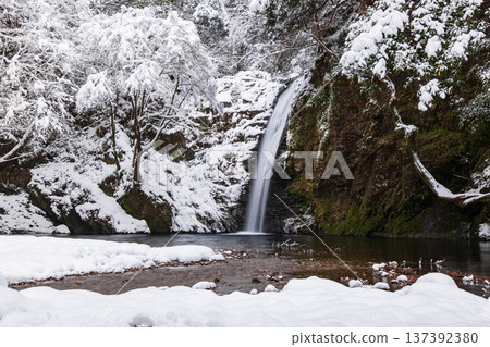 Yokoya Gorge (winter): Shirataki waterfall Yokoya Gorge (winter): Shirataki waterfall 137392380