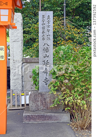 圓明寺（武藏野） 137392592