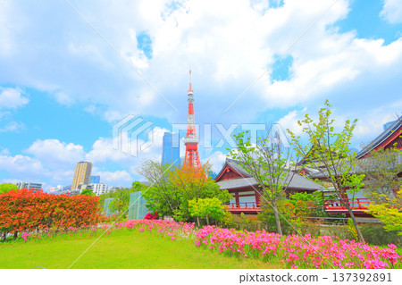 東京港區東京鐵塔及花壇 東京港區東京鐵塔及花壇 137392891