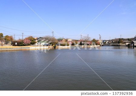 Drum Can Bridge in Shinborikawa Green Space Drum Can Bridge in Shinborikawa Green Space 137392936