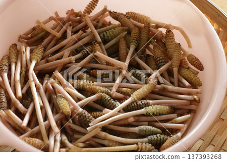 Horsetail and egg simmered in the middle of cooking Horsetail and egg simmered in the middle of cooking 137393268