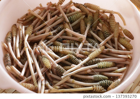 Horsetail and egg simmered in the middle of cooking Horsetail and egg simmered in the middle of cooking 137393270
