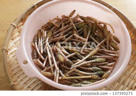 Horsetail and egg simmered in the middle of cooking 137393271