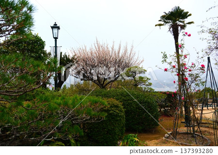 Glover garden 137393280