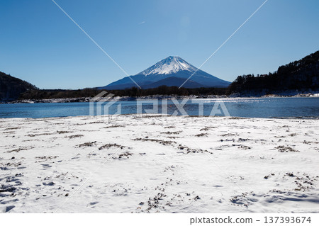山梨縣精進湖初春景色：透過冰封的湖面，可以看到富士山擁抱著它的孩子。 137393674