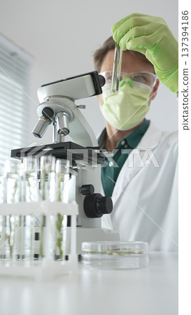 Man scientist wearing green protective gloves and mask is looking at green plant in test tube near a microscope, petri dishes during a laboratory research. Medicine, health care and science concept 137394186