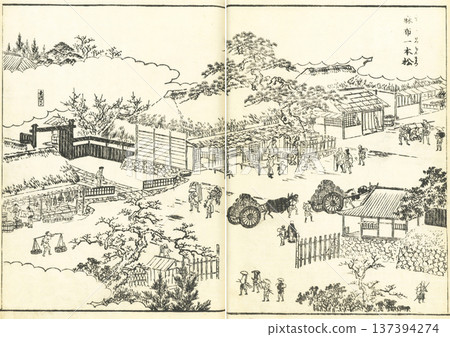 江戶名勝圖鑑：麻布孤松 137394274