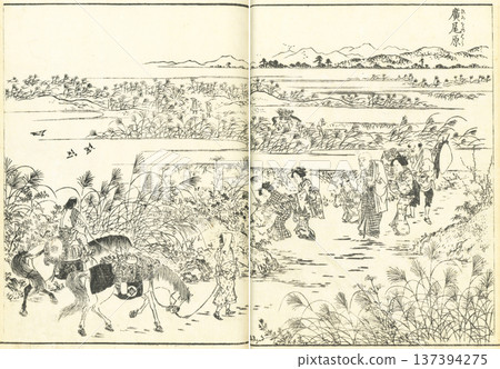 江戶名勝圖鑑：廣尾原 137394275