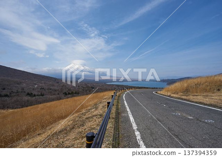 從山梨縣全景台眺望富士山的春天 137394359