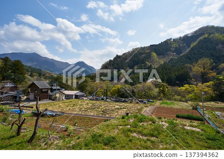 山梨縣道志村的景色 137394362