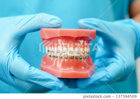 Asian dentist holding dental teeth model for learn about dentistry. 137394509